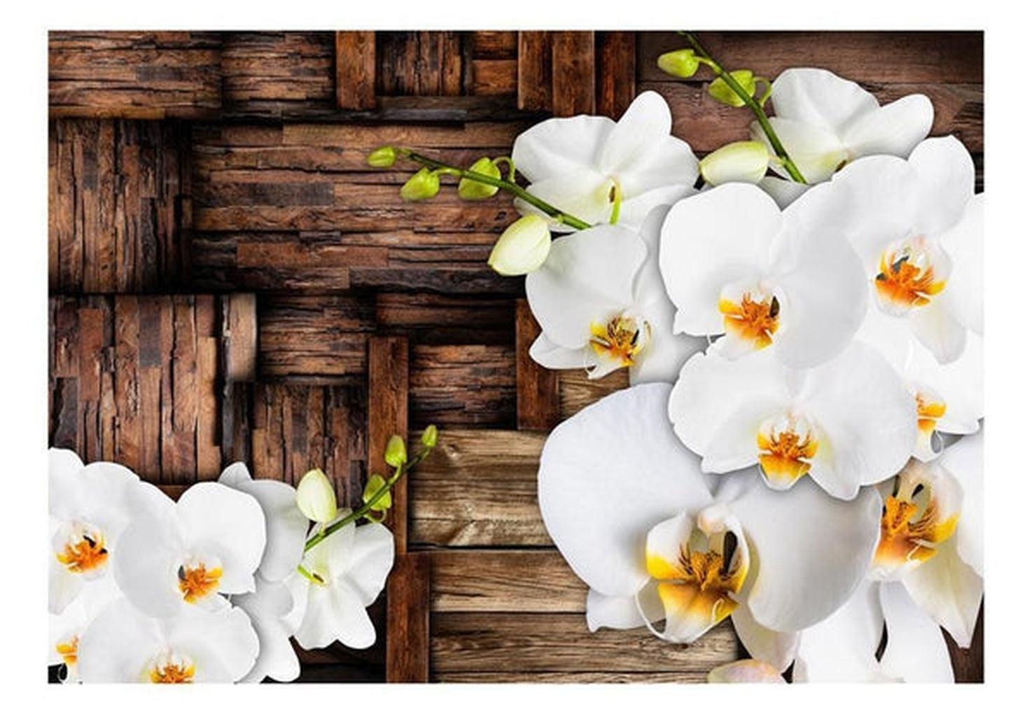 Floral Wallpaper Wall Mural - Blooming Orchids