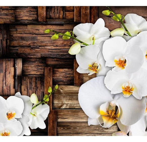 Floral Wallpaper Wall Mural - Blooming Orchids