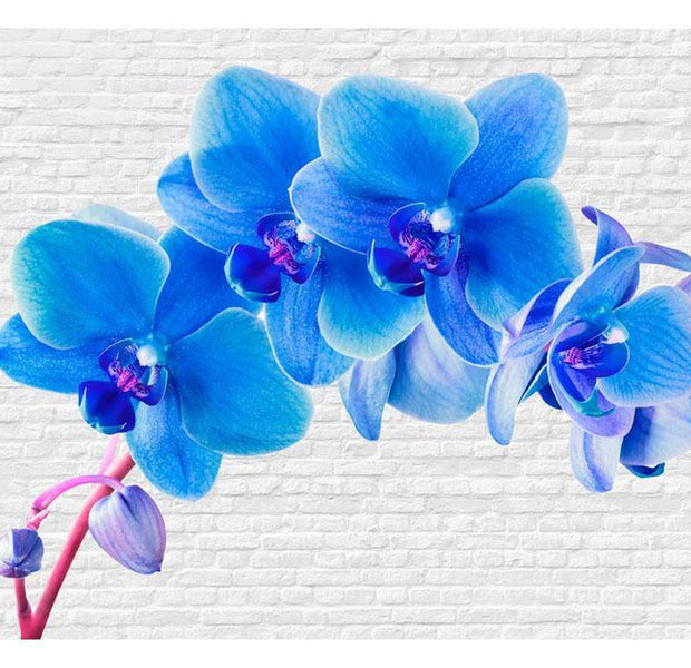 Floral Wallpaper Wall Mural - Blue Excitation