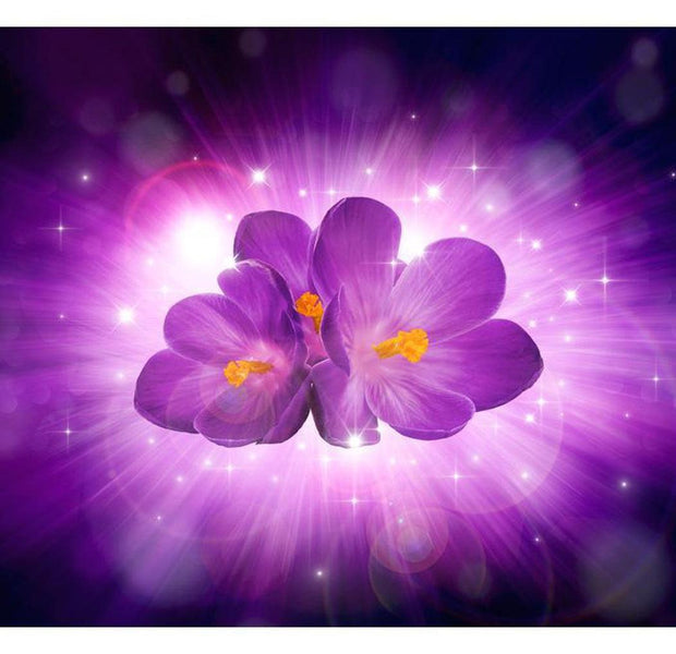 Floral Wallpaper Wall Mural - Breath Of Spring