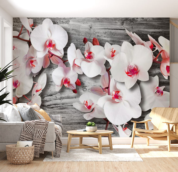 Floral Wallpaper Wall Mural - White Orchids On Wood