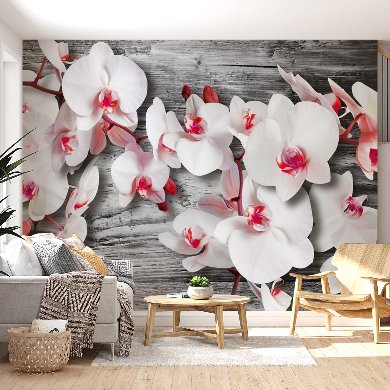 Floral Wallpaper Wall Mural - White Orchids On Wood