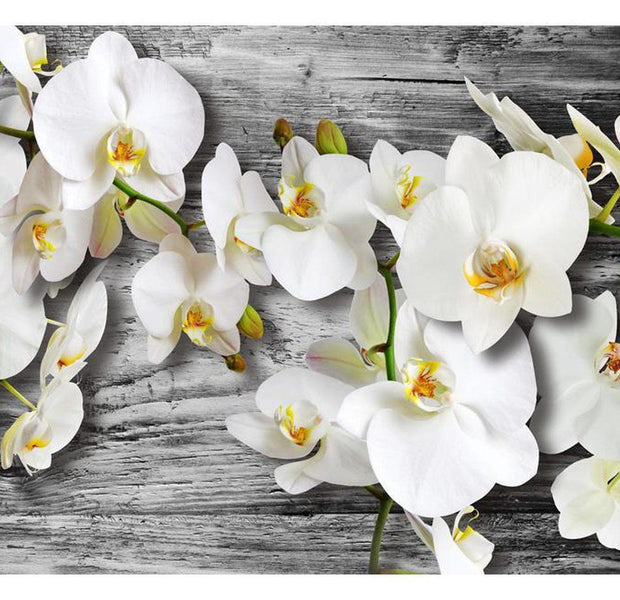 Floral Wallpaper Wall Mural - Orchid Flowers On Wood
