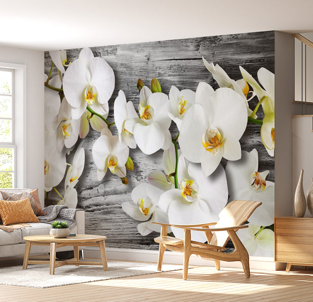 Floral Wallpaper Wall Mural - Orchid Flowers On Wood
