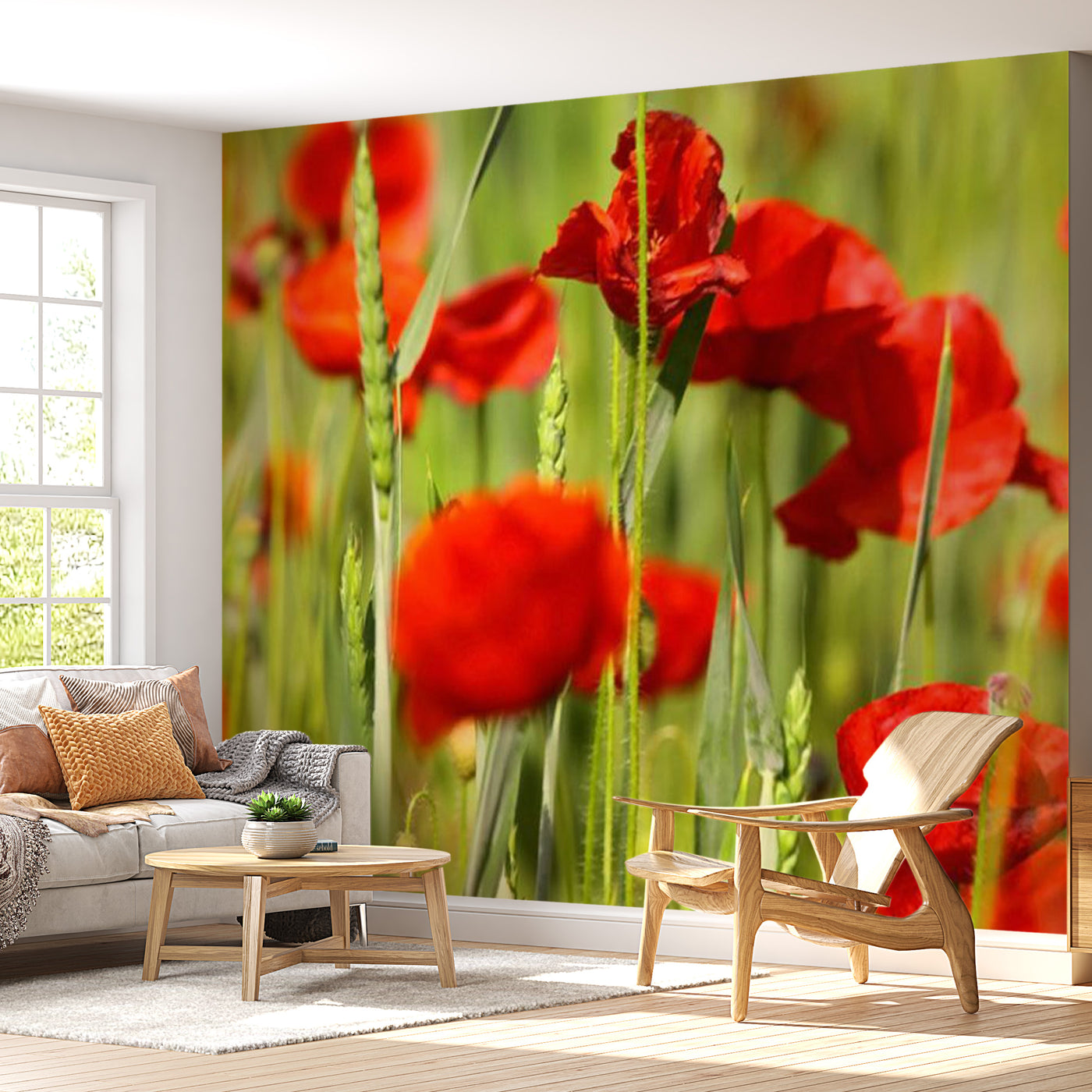 Floral Wallpaper Wall Mural - Cereal Field With Poppies