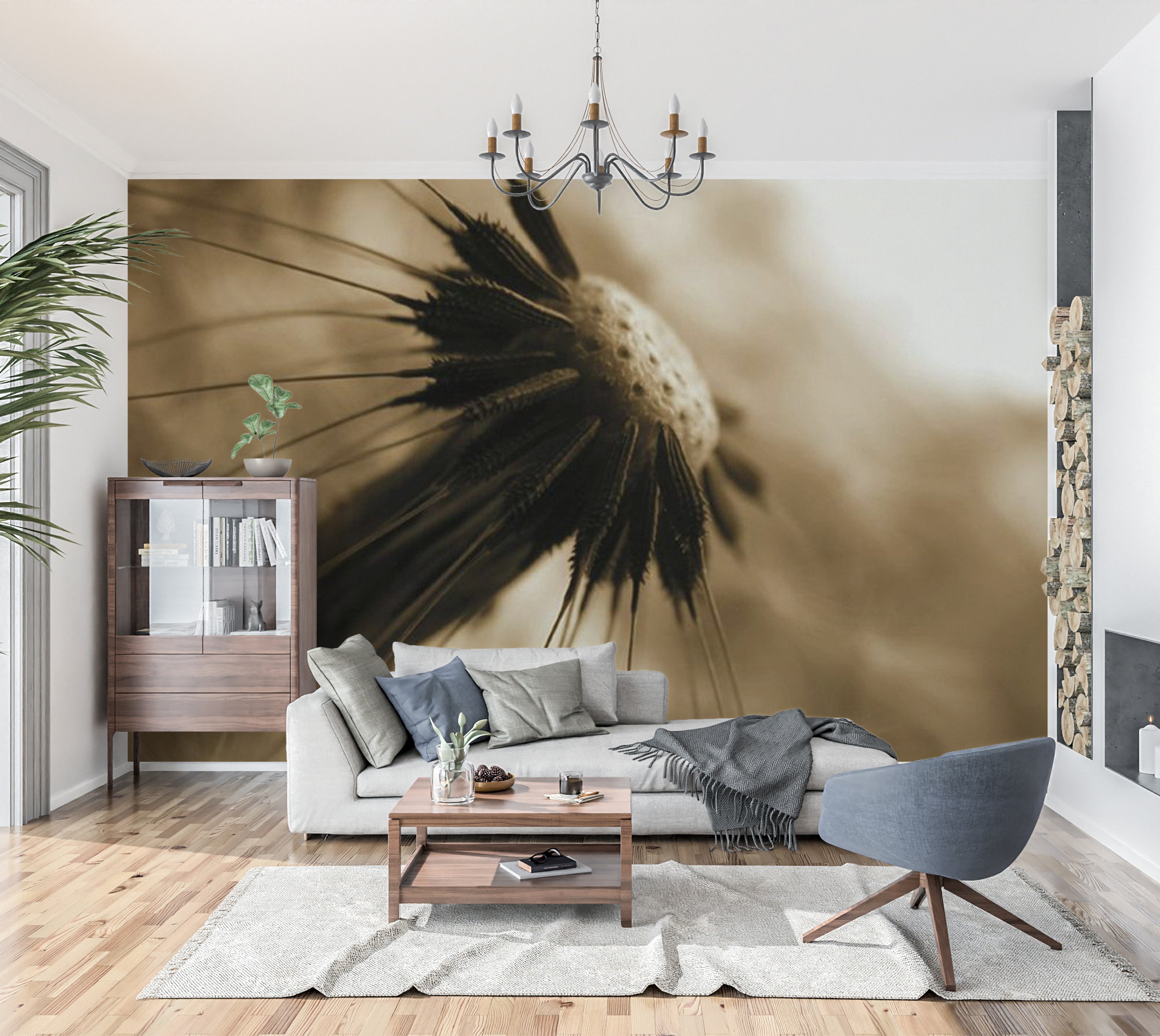 Floral Wallpaper Wall Mural - Dandelion in Sepia