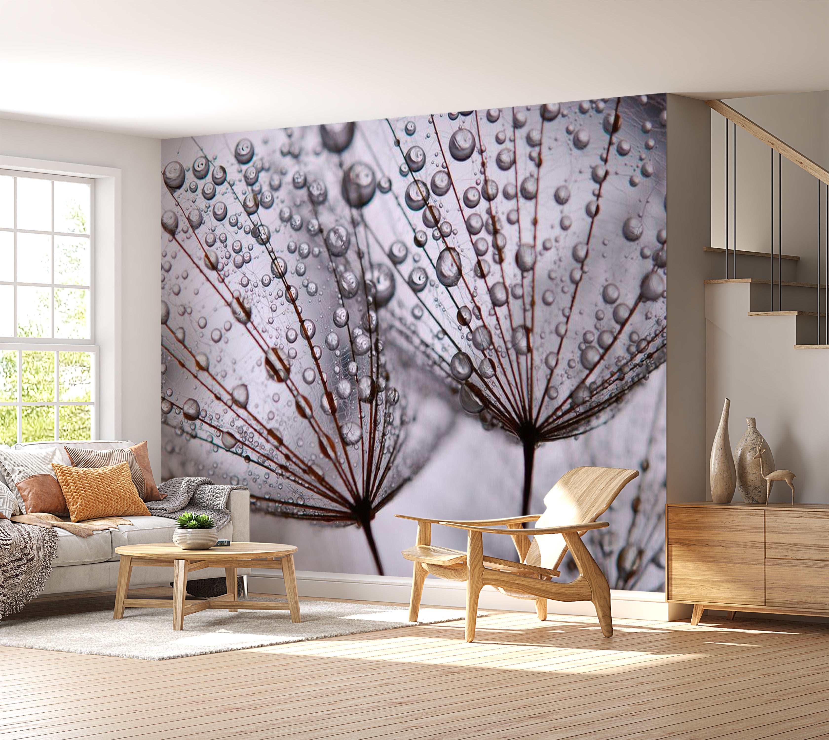 Floral Wallpaper Wall Mural - Dandelion And Morning Dew