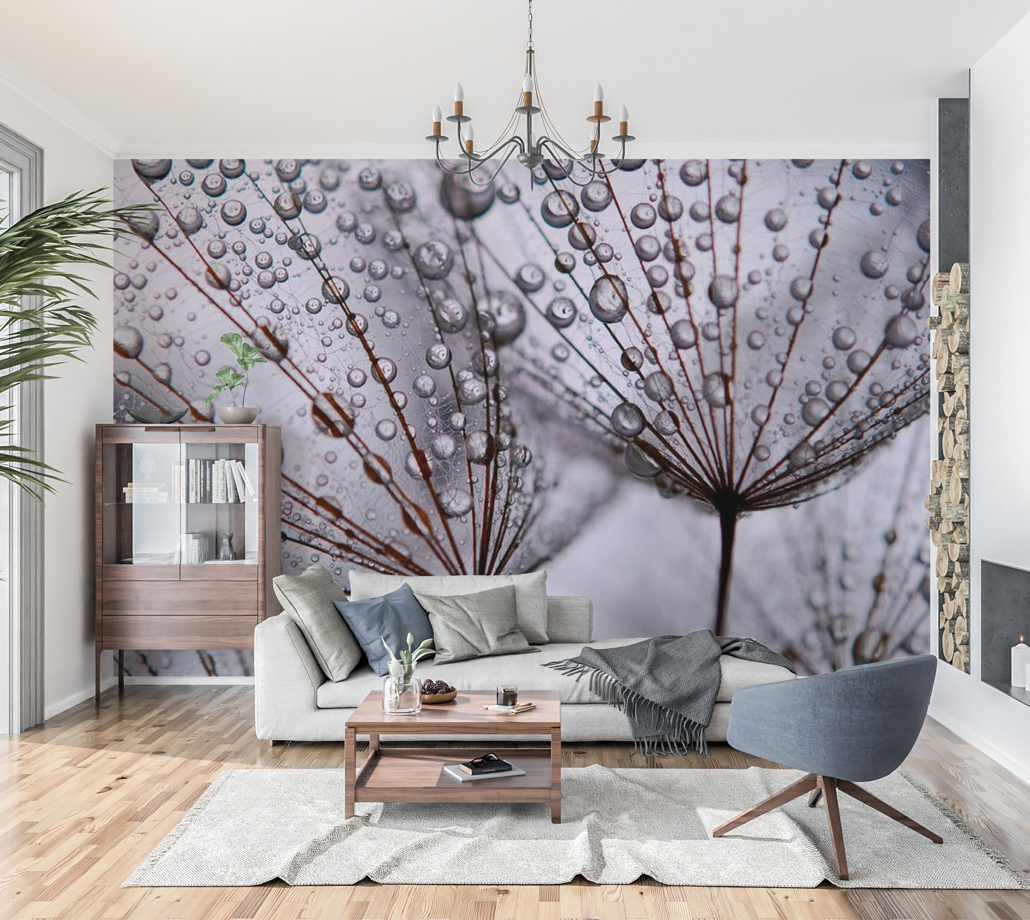 Floral Wallpaper Wall Mural - Dandelion And Morning Dew