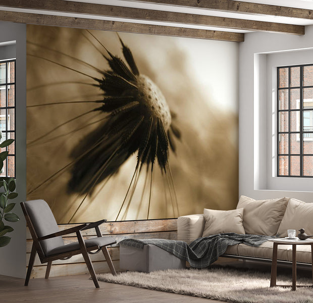Floral Wallpaper Wall Mural - Dandelion in Sepia