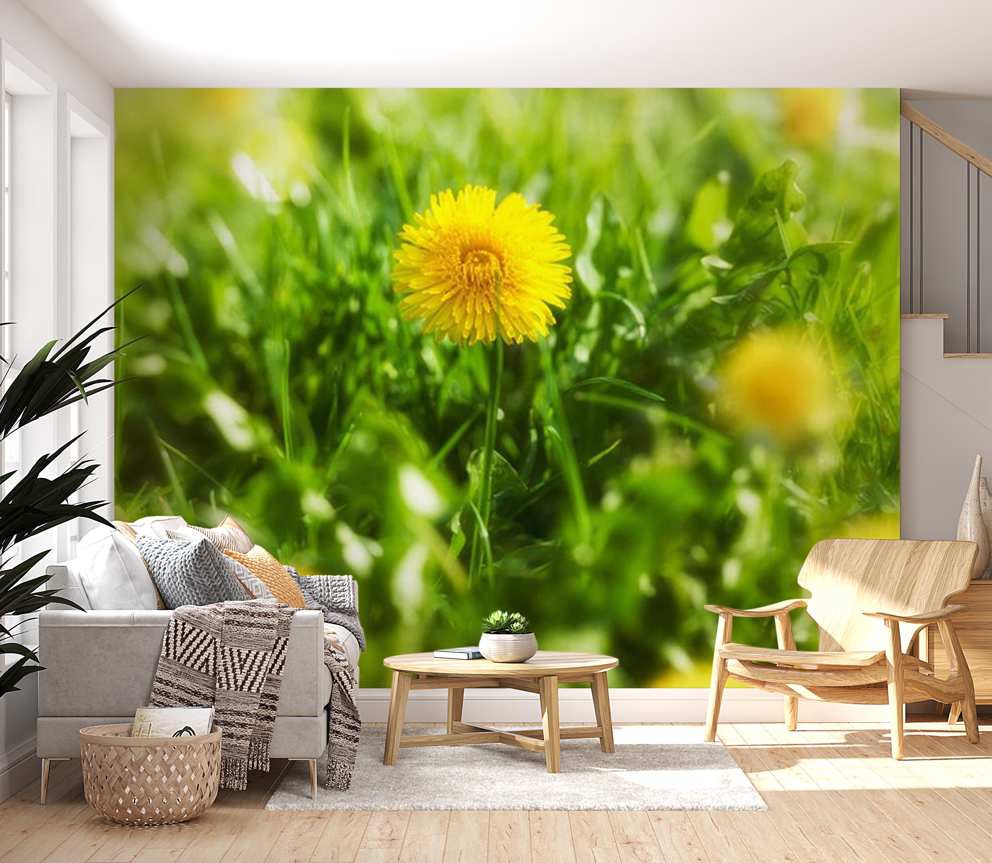 Floral Wallpaper Wall Mural - Dandelion Flowers