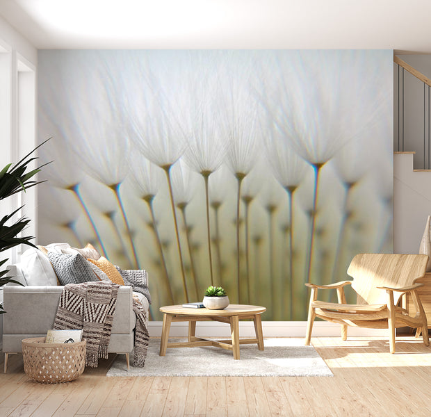 Floral Wallpaper Wall Mural - Dandelion Forest