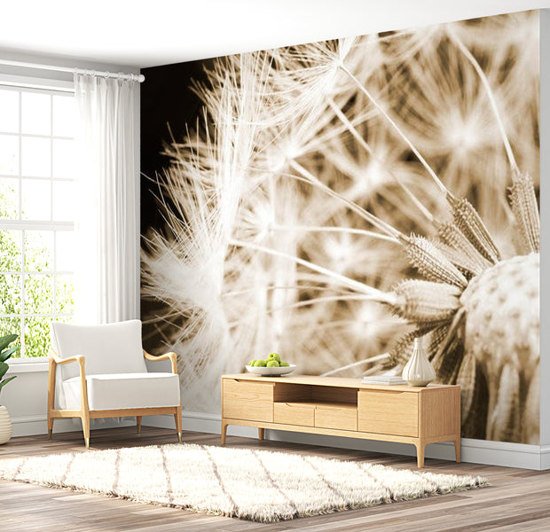 Floral Wallpaper Wall Mural - Dandelion Close Up