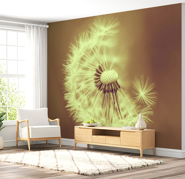 Floral Wallpaper Wall Mural - Dandelion In Summer Light