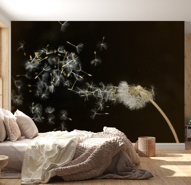 Floral Wallpaper Wall Mural - Dandelion Seeds