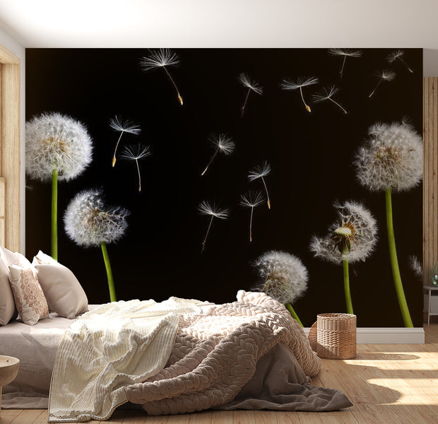 Floral Wallpaper Wall Mural - Dandelions In The Wind