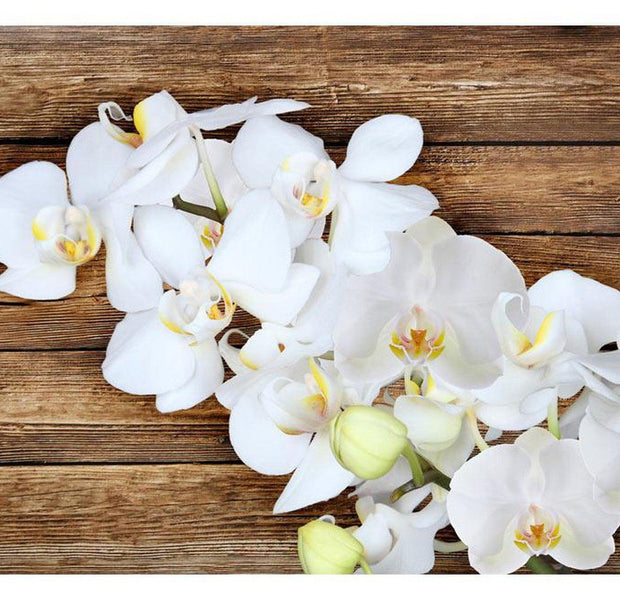 Floral Wallpaper Wall Mural - Delicacy On Wood