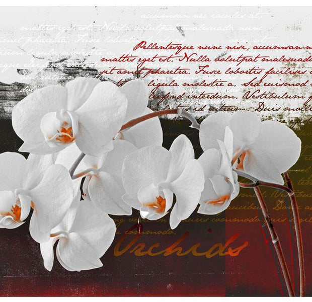 Floral Wallpaper Wall Mural - Orchid Text