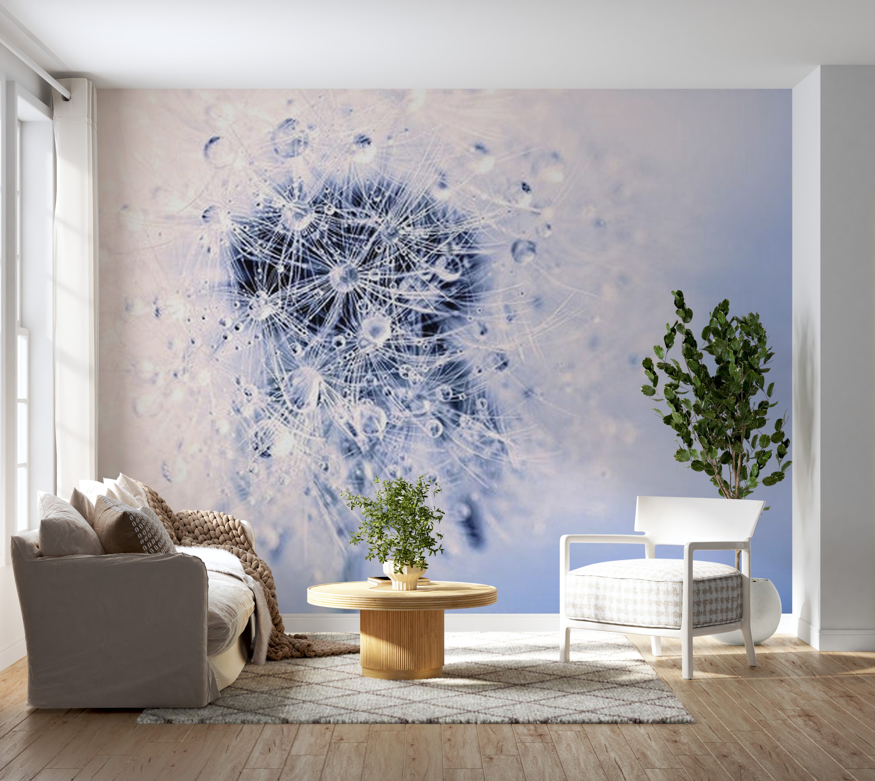 Floral Wallpaper Wall Mural - Morning Dandelion