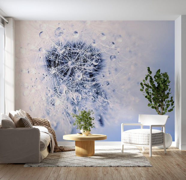 Floral Wallpaper Wall Mural - Morning Dandelion