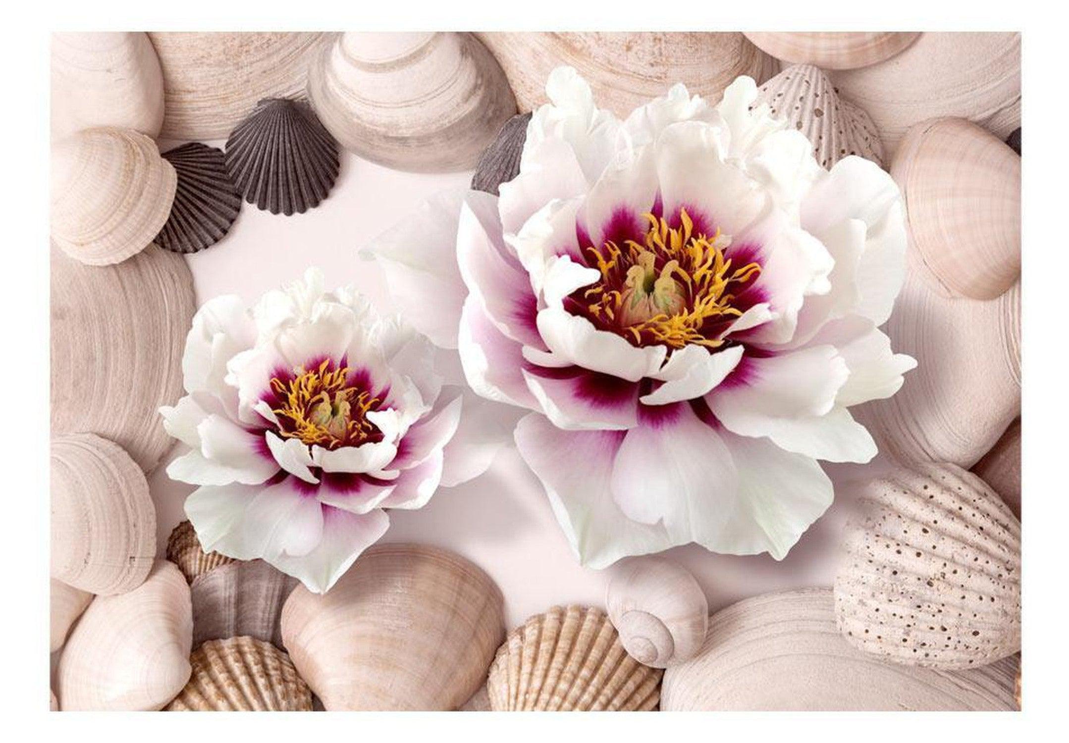 Floral Wallpaper Wall Mural - Flowers And Shells