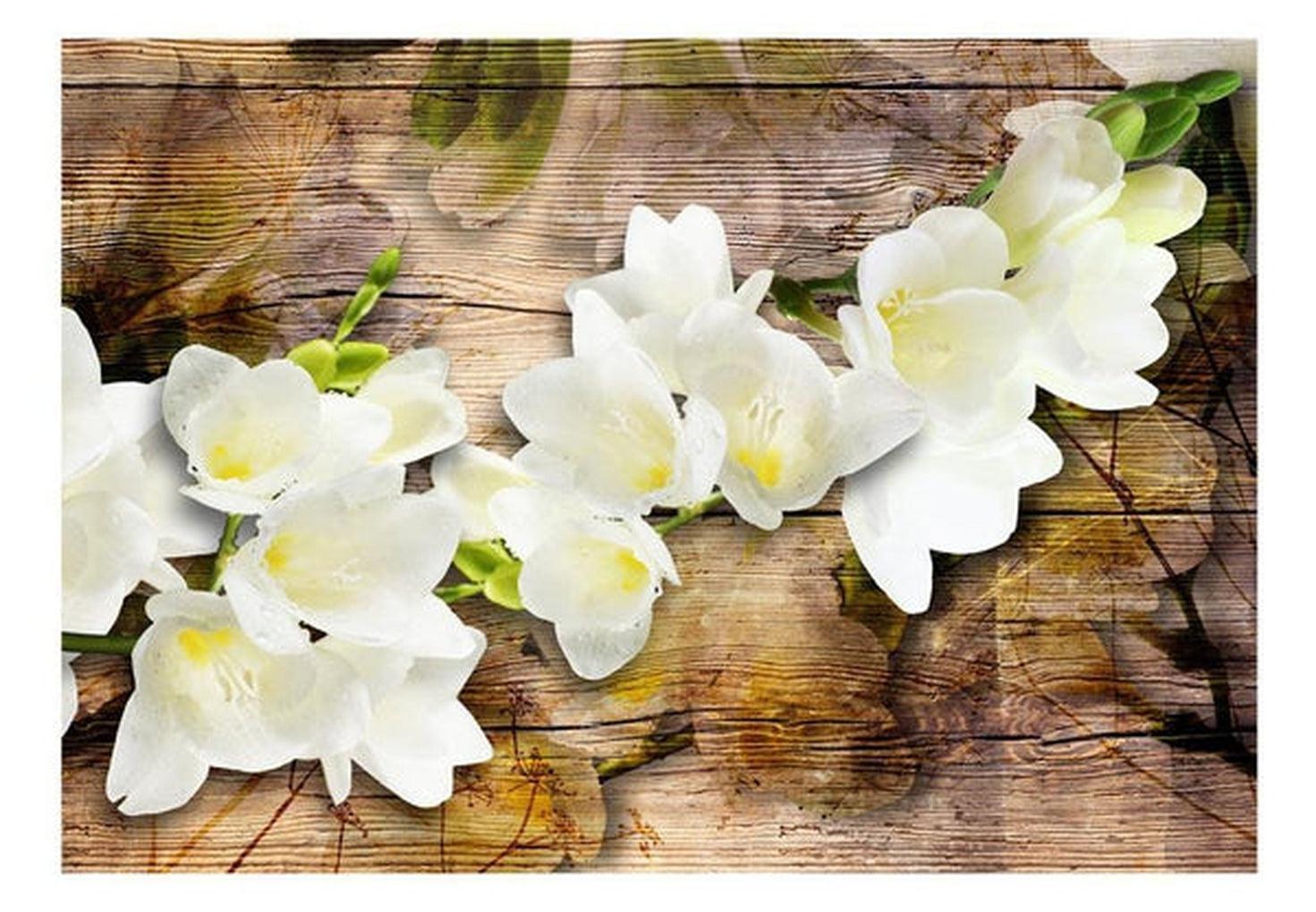 Floral Wallpaper Wall Mural - Freesia On Wood