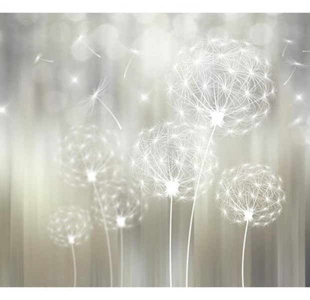 Floral Wallpaper Wall Mural - Dandelions In The Sun