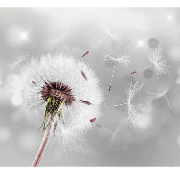 Floral Wallpaper Wall Mural - Sparkling Dandelion