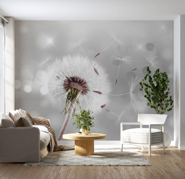 Floral Wallpaper Wall Mural - Sparkling Dandelion