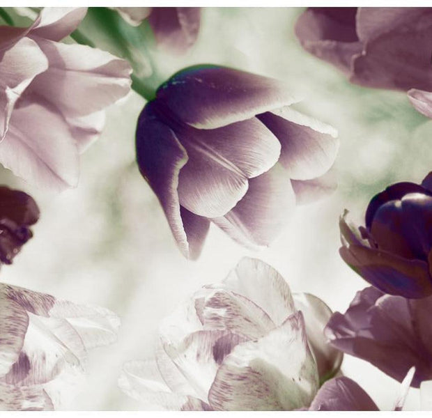 Floral Wallpaper Wall Mural - Heavenly Tulips