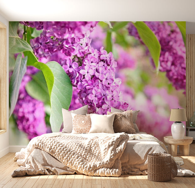 Floral Wallpaper Wall Mural - Lilac Flowers