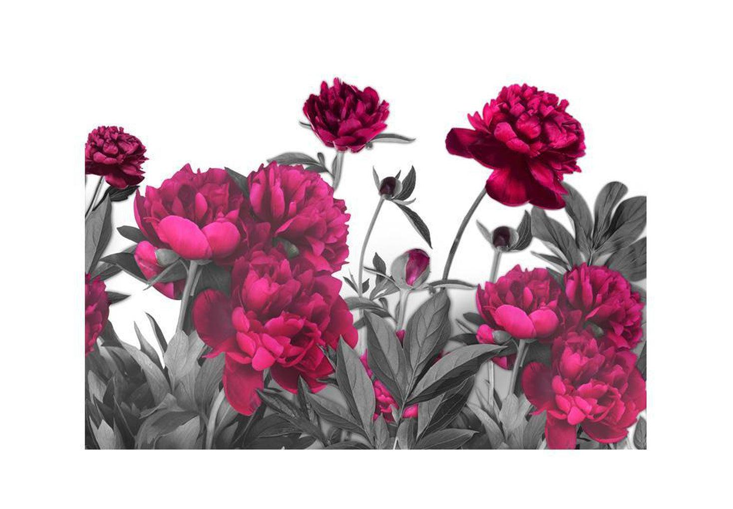 Floral Wallpaper Wall Mural - Lush Meadow