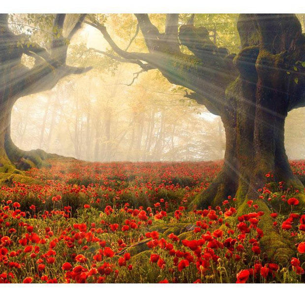 Floral Wallpaper Wall Mural - Morning Among Poppies