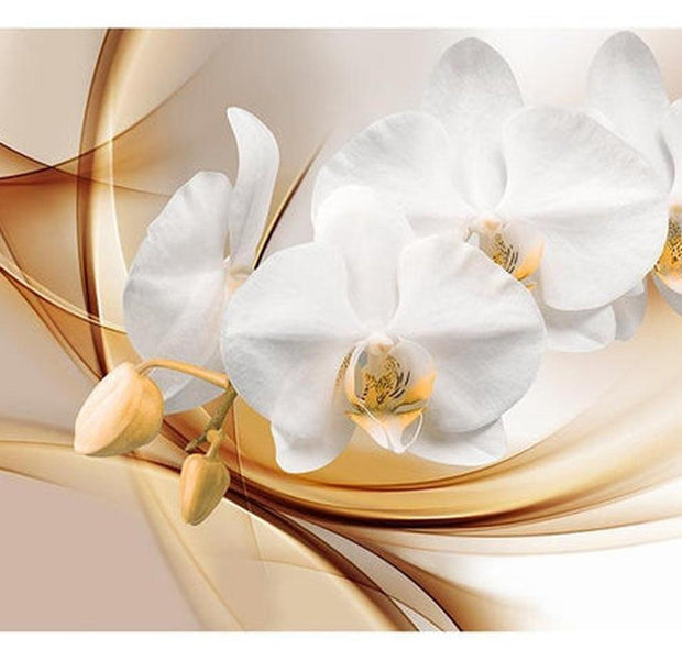 Floral Wallpaper Wall Mural - Orchid Blossom