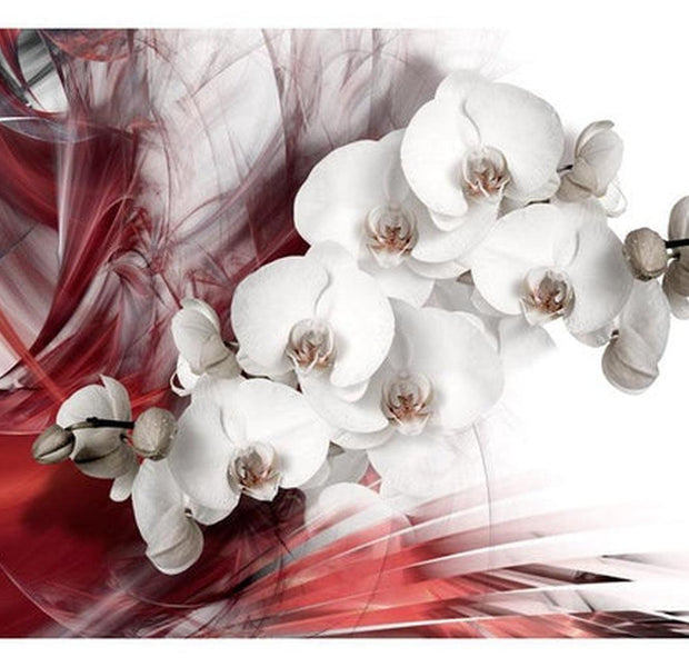 Floral Wallpaper Wall Mural - Orchid In Red
