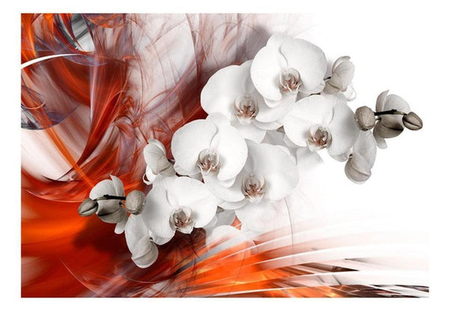 Floral Wallpaper Wall Mural - Orchids and Red Abstract Art