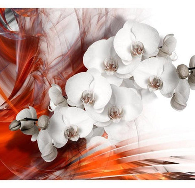 Floral Wallpaper Wall Mural - Orchids and Red Abstract Art