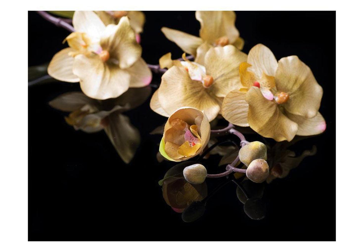 Floral Wallpaper Wall Mural - Orchids In Ecru Color
