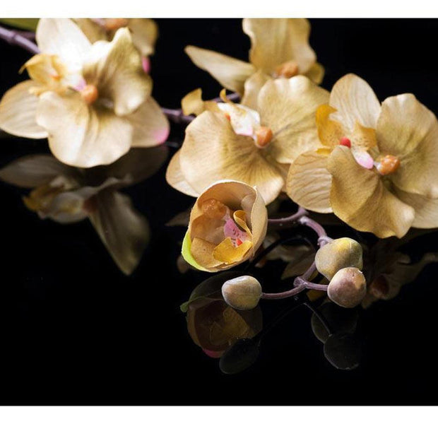 Floral Wallpaper Wall Mural - Orchids In Ecru Color