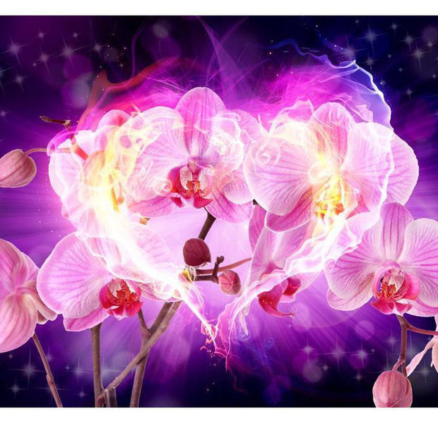 Floral Wallpaper Wall Mural - Orchids In Flames
