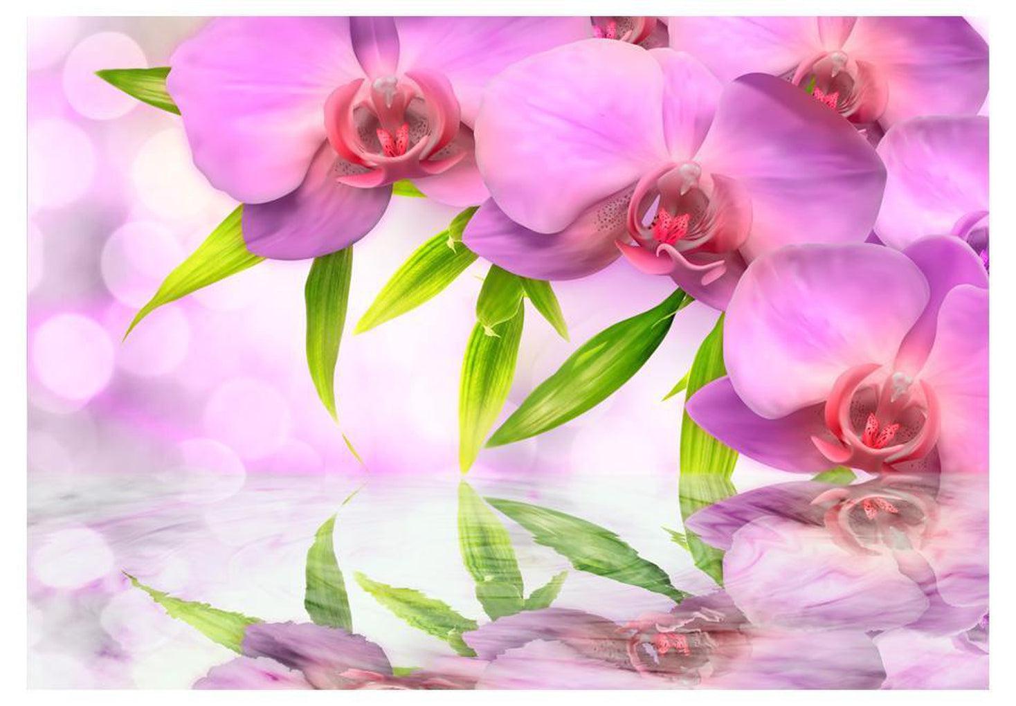 Floral Wallpaper Wall Mural - Orchids In Lilac Colour