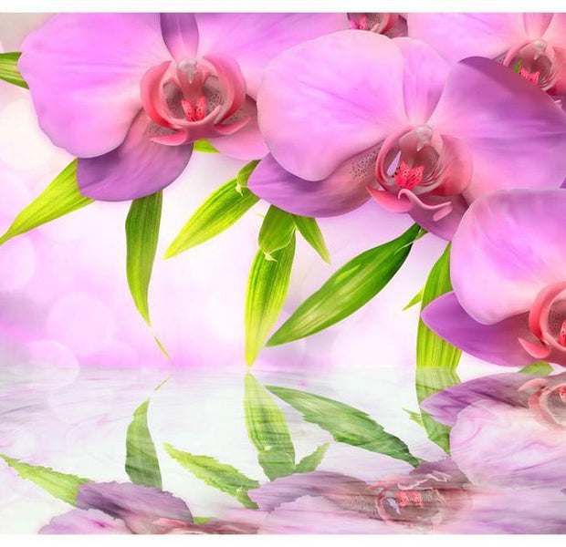 Floral Wallpaper Wall Mural - Orchids In Lilac Colour