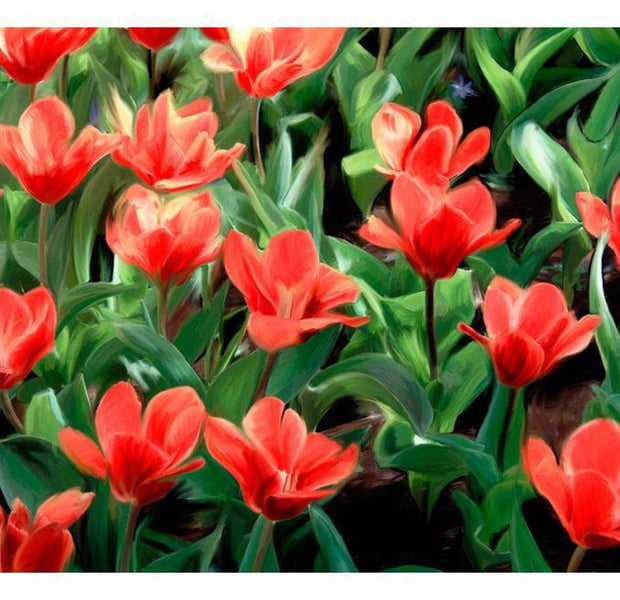 Floral Wallpaper Wall Mural - Painted Flowers