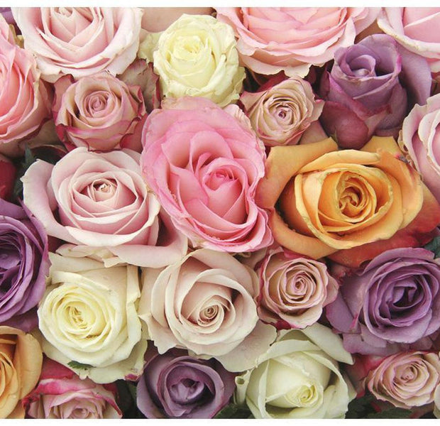 Floral Wallpaper Wall Mural - Pastel Roses