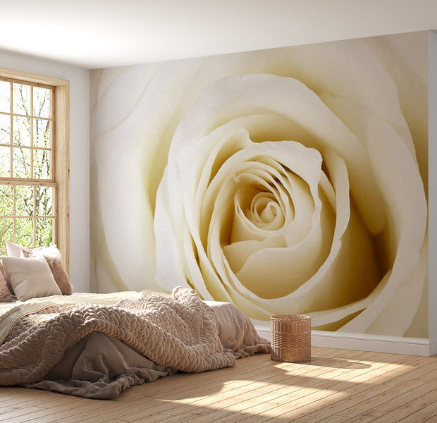 Floral Wallpaper Wall Mural - Pearl Rose