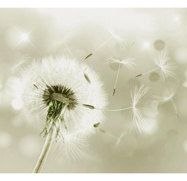 Floral Wallpaper Wall Mural - Dandelion Sparks