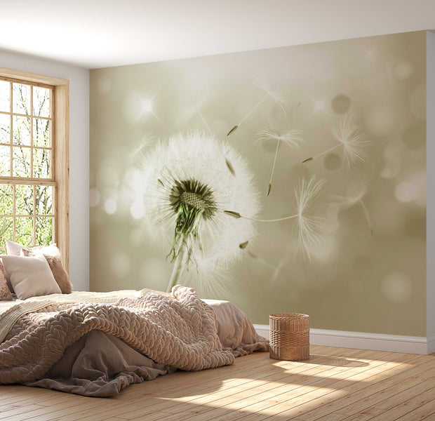 Floral Wallpaper Wall Mural - Dandelion Sparks