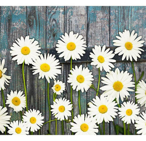 Floral Wallpaper Wall Mural - Return To The Innocence