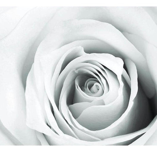 Floral Wallpaper Wall Mural - Rose Charade