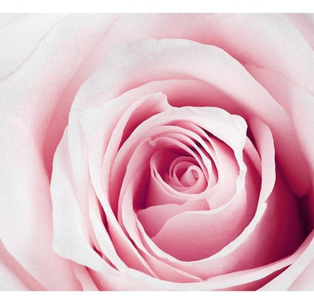 Floral Wallpaper Wall Mural - Rose Maze