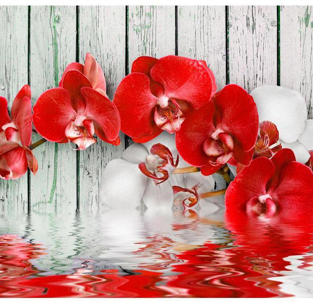 Floral Wallpaper Wall Mural - Ruby Orchid